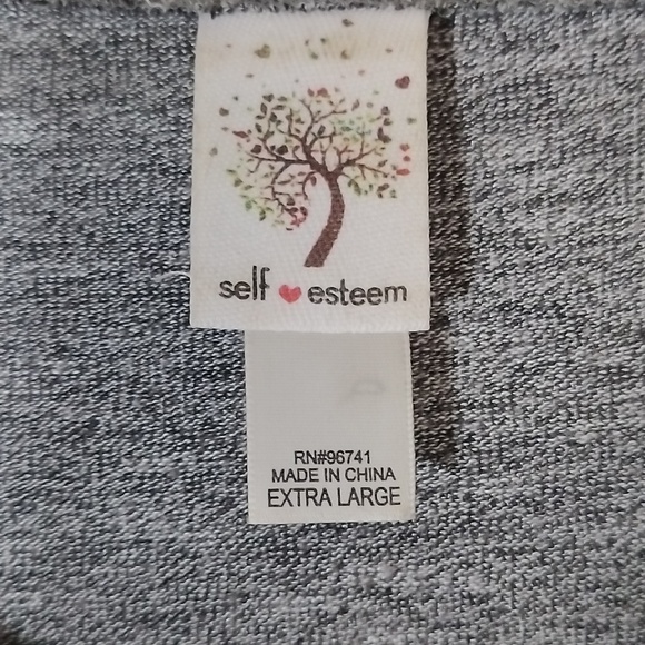 Gray Sweatshirt like Top with Black Lace going down each sleeve - Picture 6 of 11